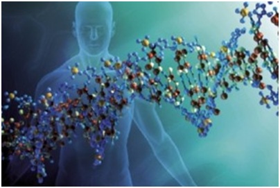 Роль циркулирующих молекул ДНК в диагностике опухолей